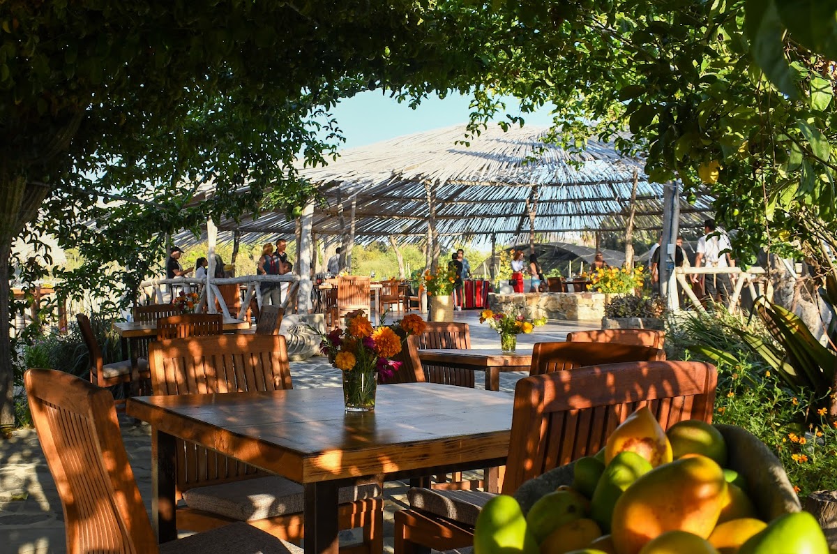 Siempre Viva Restaurant - Farm To Table Experience